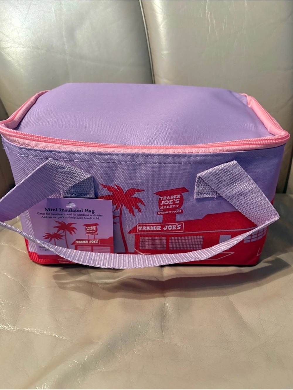 Trader Joe's Mini Insulated Bag